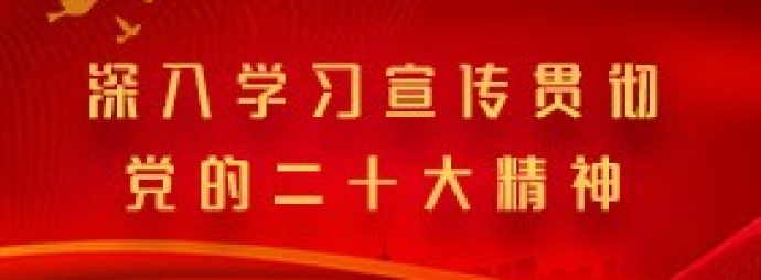 深入学习宣传贯彻党的二十大精神